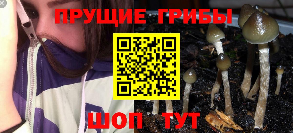 Галлюциногенные грибы Cubensis Менделеевск